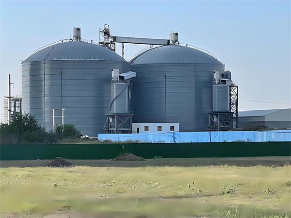 哈尔滨钢板仓建造施工方案详解